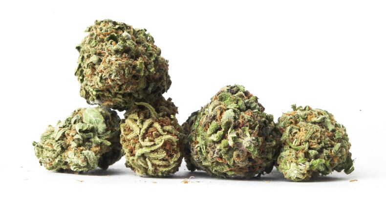 Marijuana buds. SHUTTERSTOCK