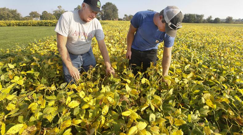 Cropland farmed by Dale Seim and his son Scott in Perry Twp. are among Montgomery County parcels to see values drop an average 24 percent due to statewide changes in a formula used to determine CAUV, or Current Agricultural Use Value. CHRIS STEWART / STAFF