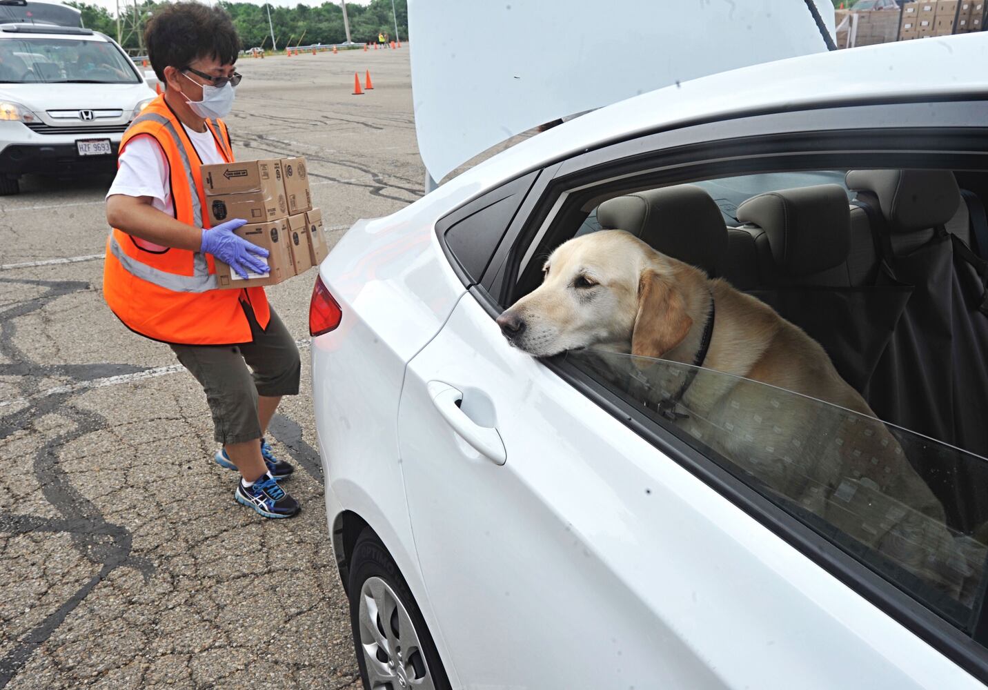 PHOTOS: Foodbank works from Nutter Center
