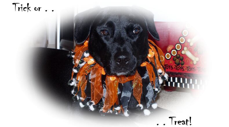 Happy Halloween. JORDAN BLAKE