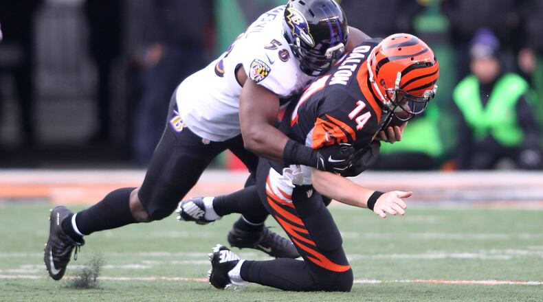 CINCINNATI, OH - JANUARY 1: Elvis Dumervil #58 of the Baltimore Ravens sacks Andy Dalton #14 of the Cincinnati Bengals during the third quarter at Paul Brown Stadium on January 1, 2017 in Cincinnati, Ohio. (Photo by John Grieshop/Getty Images)