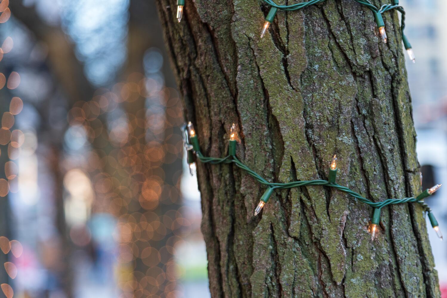 PHOTOS: Did we spot you at the 50th Annual Dayton Holiday Festival in downtown Dayton?