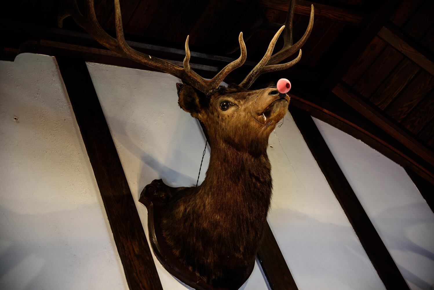 PHOTOS: Inside gorgeous Oakwood homes decorated for its very first  holiday home tour