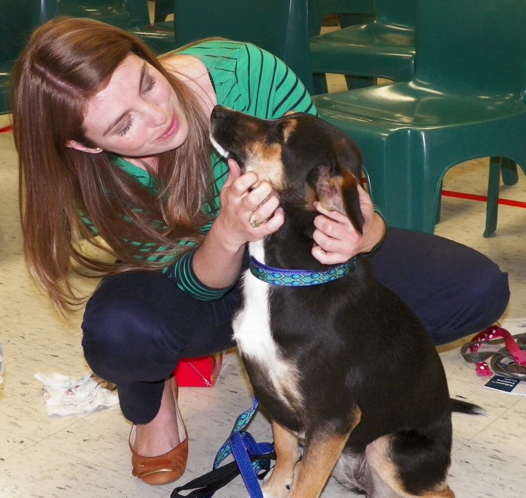 News hounds (4/23/15)