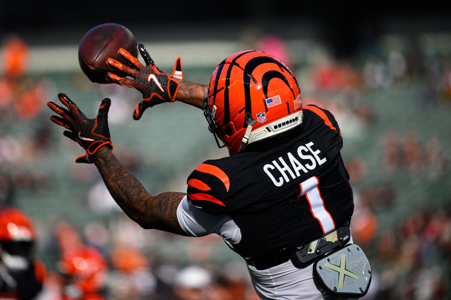 bengals browns miller