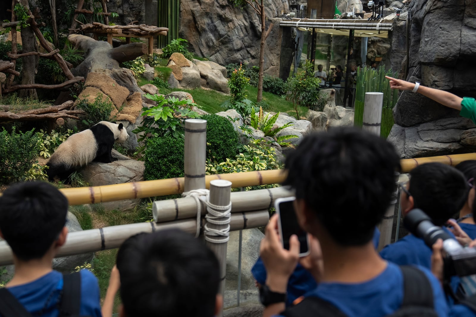 Visitors take pictures of Giant panda Ying Ying at the enclosure in Ocean Park in Hong Kong, Tuesday, May 27, 2025. (AP Photo/Chan Long Hei)