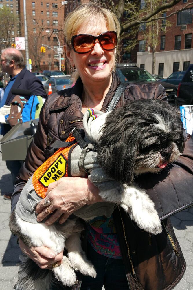 News hounds (4/23/15)