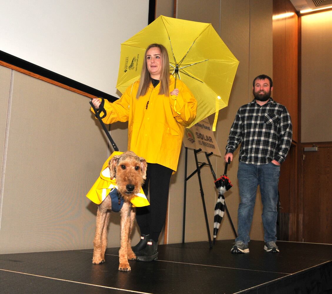 Did we spot you at Dogs on the Catwalk?