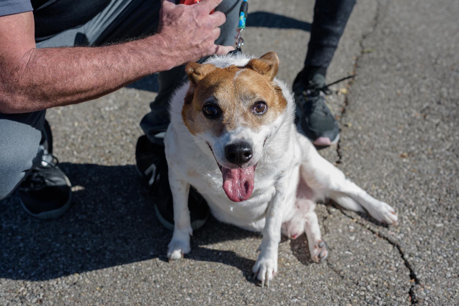 PHOTOS: Did we spot you and your dog at Wag-O-Ween at the Kettering Recreation Center?