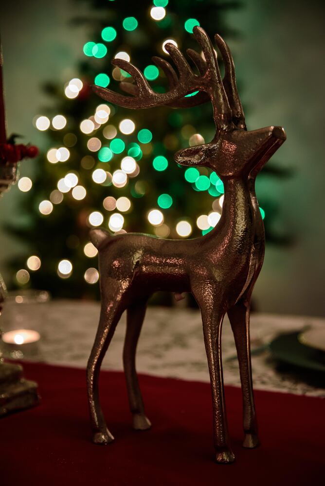 McPherson Town Holiday Home Tour