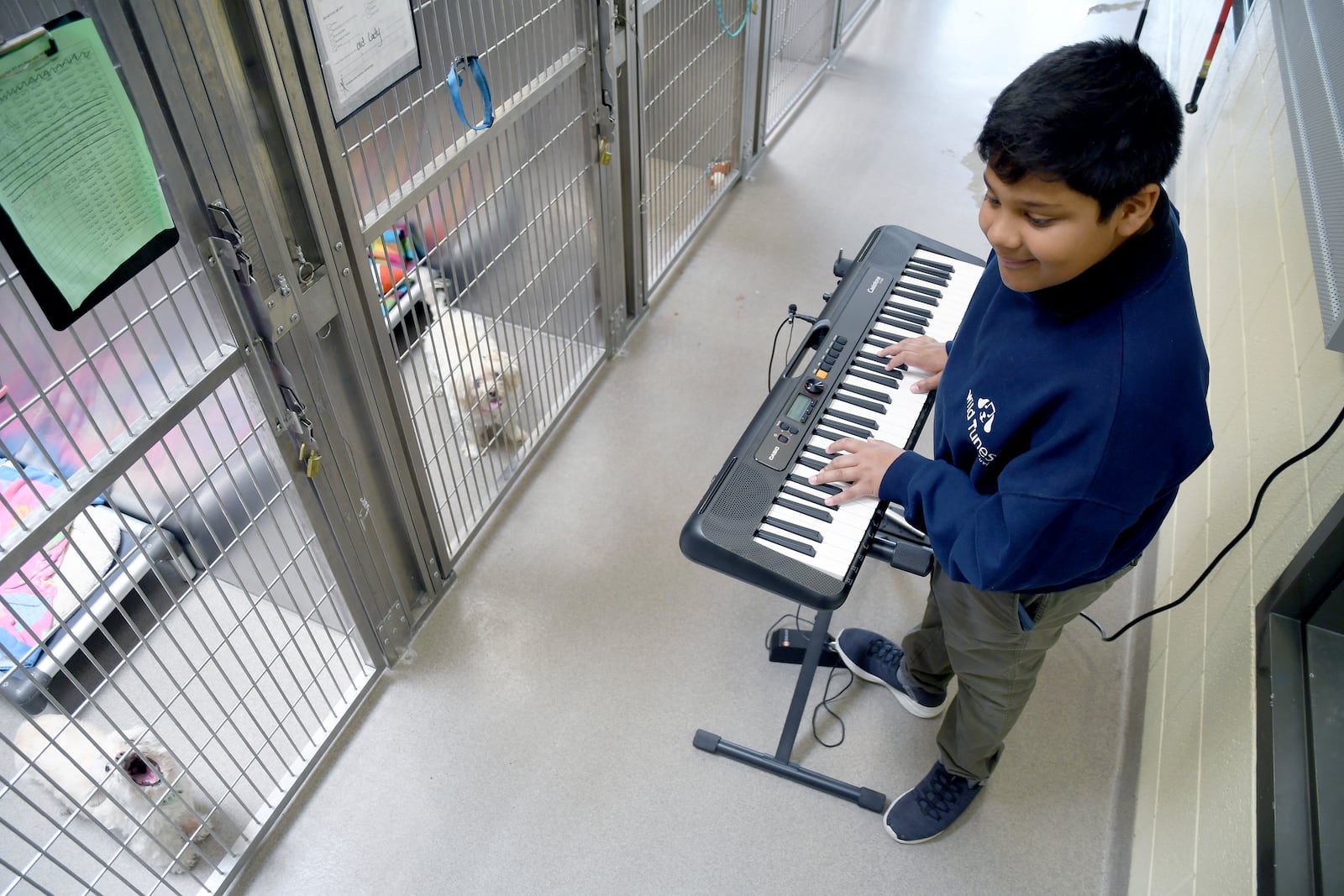 Yuvi Agarwal, the founder of Wild Tunes, which aims to soothe stressed shelter animals with live music, plays the keyboard at the Denver Animal Shelter, on Friday, May 30, 2025. (AP Photo/Thomas Peipert)