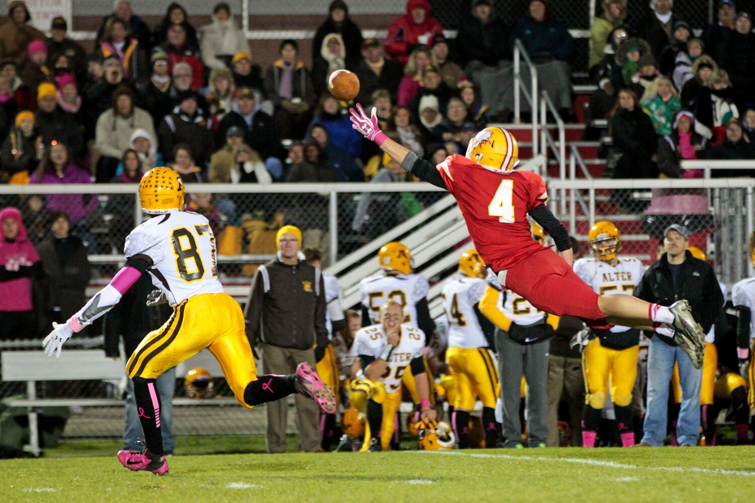 Alter vs. Fenwick