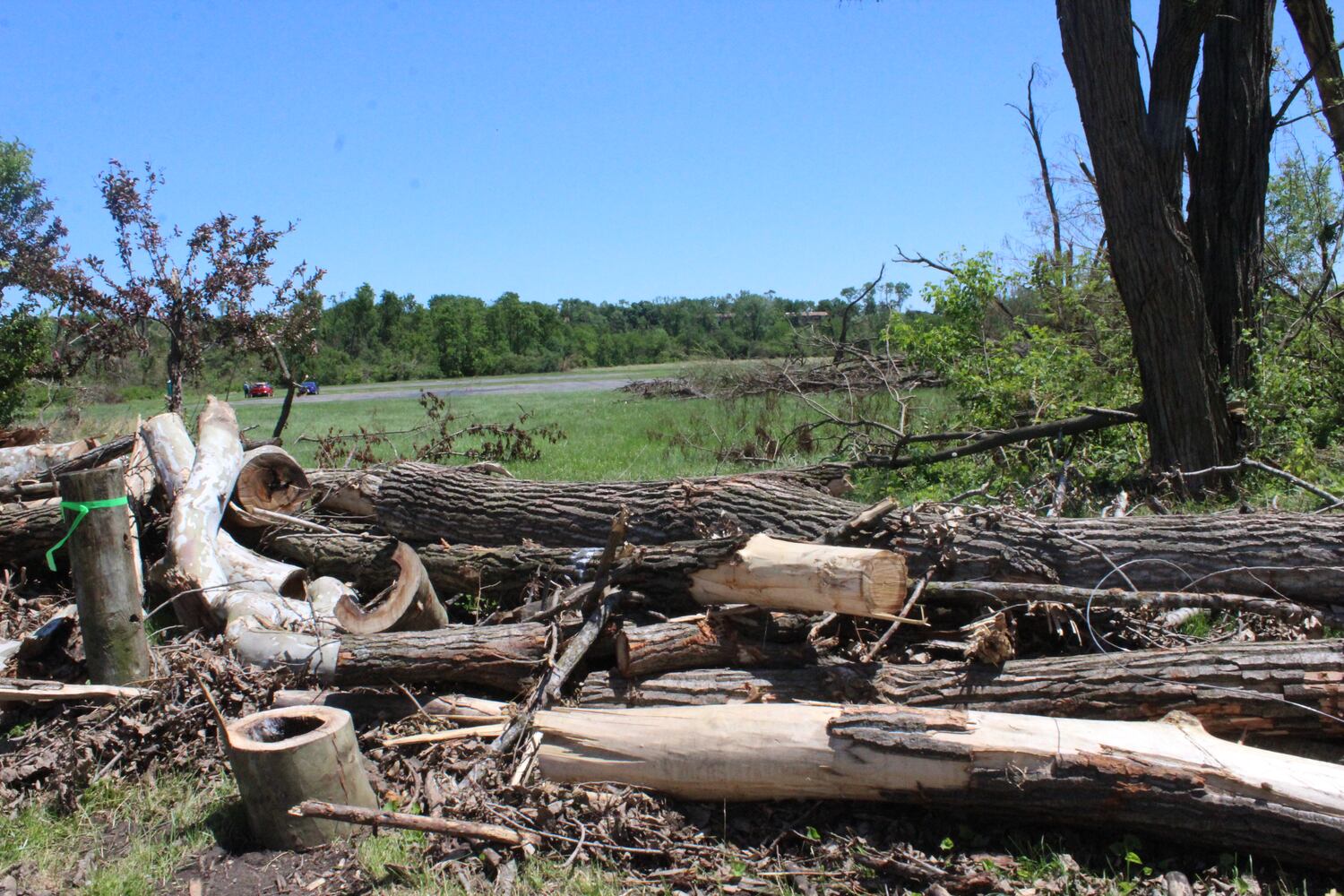Photos: ‘extraordinary’ damage to parts of  Wegerzyn MetroPark, some parts mostly untouched