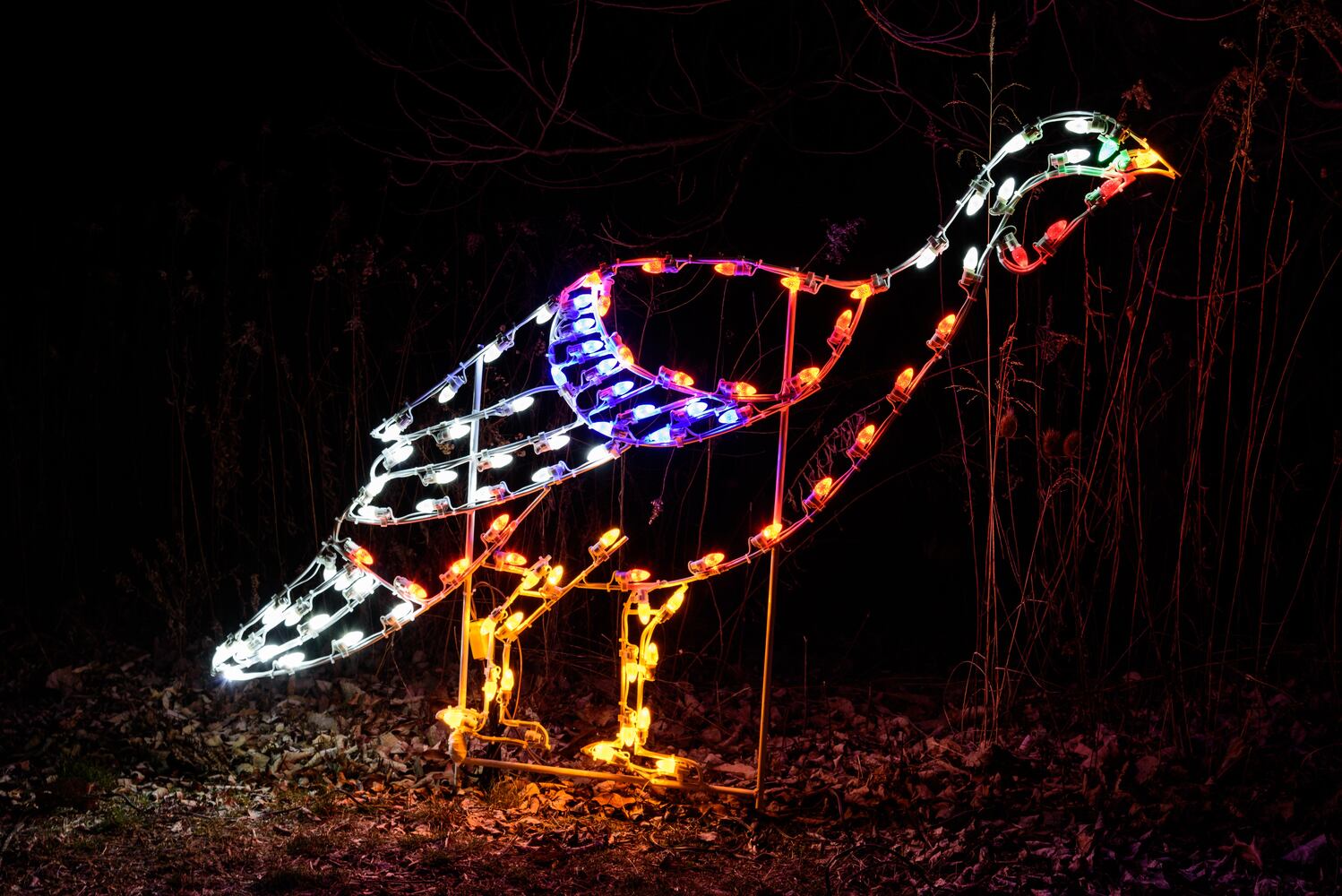 PHOTOS: ParkLights at Caesar Ford Park