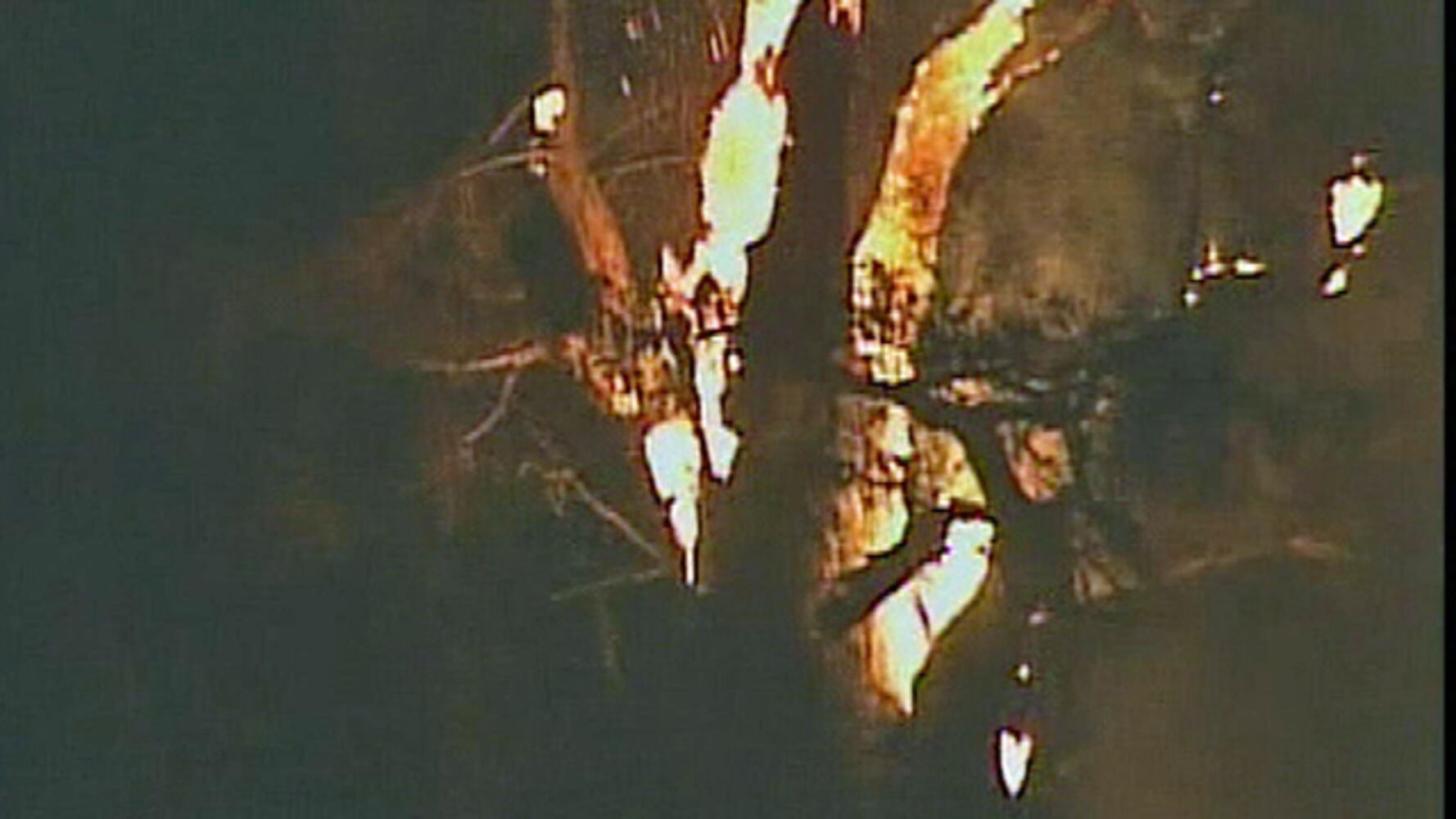 Senator tree on fire