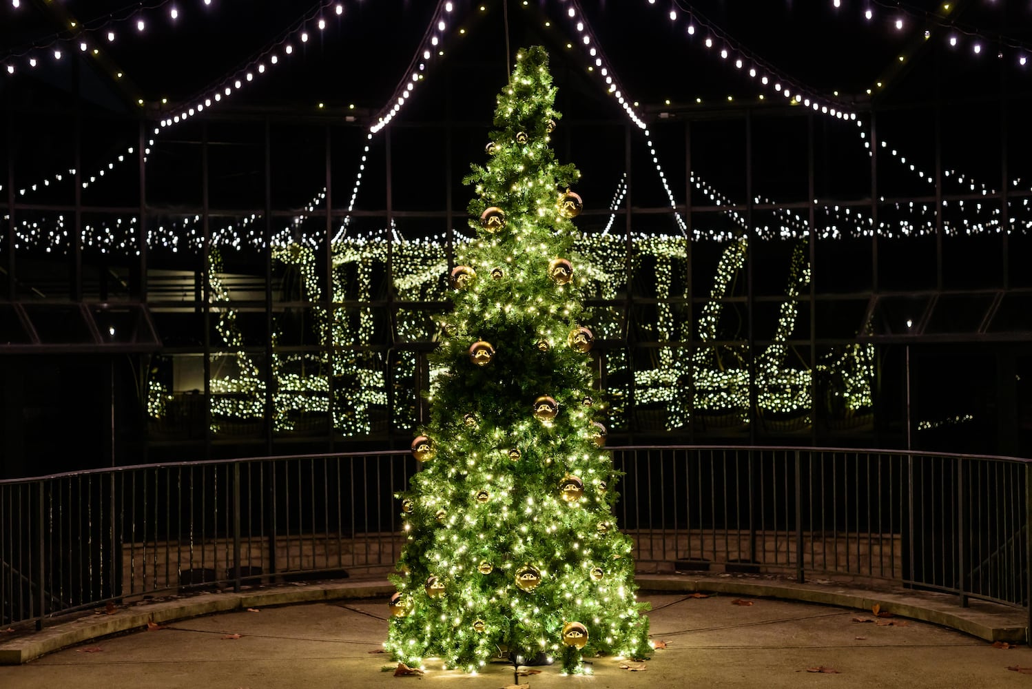 PHOTOS: 30th annual Ringing in the Holidays at Carillon Historical Park