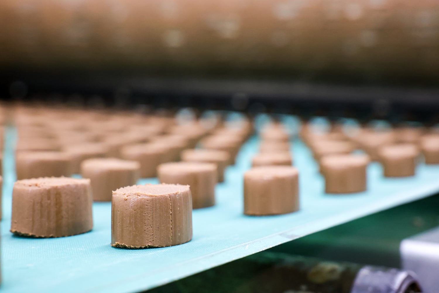 DDN 030826 Esther Price