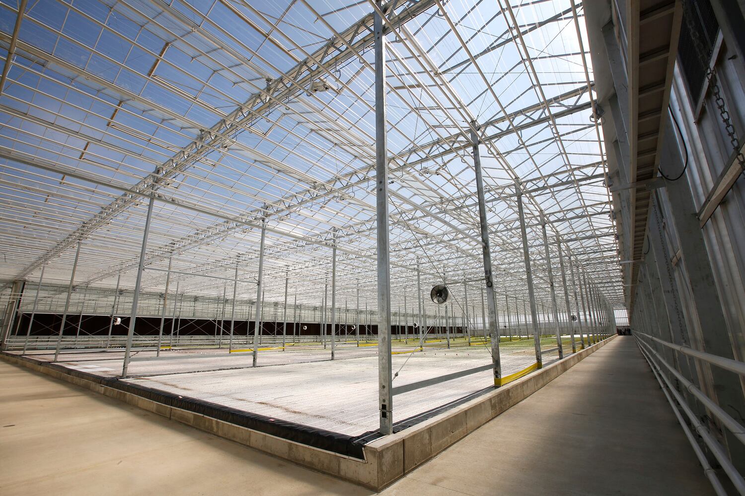 BrightFarms Ohio Greenhouse harvests first hydroponic greens in Wilmington
