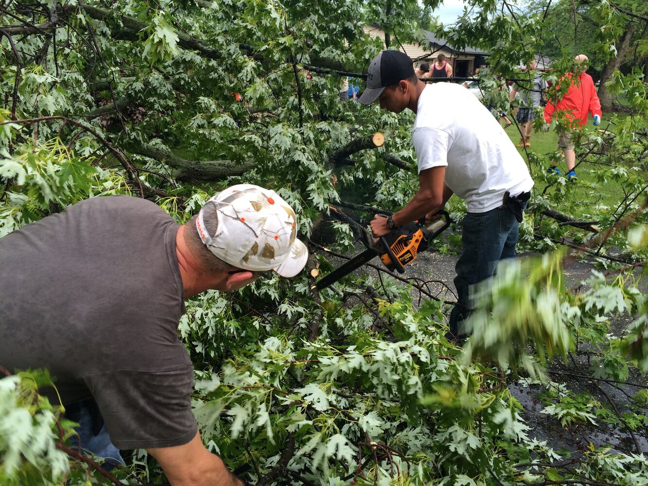 Storm damages trees, houses