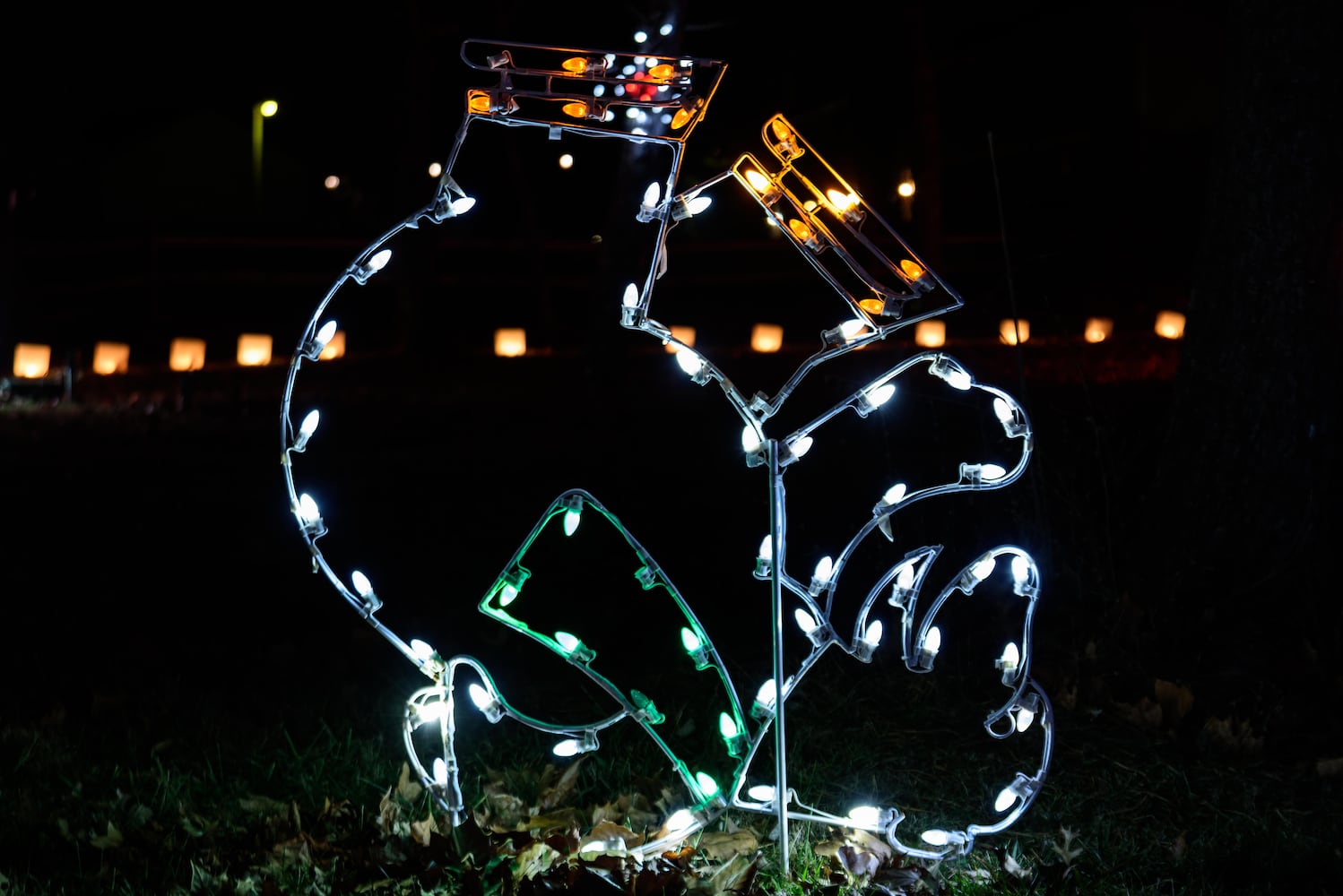 PHOTOS: A walk through Woodland Lights in Washington Township