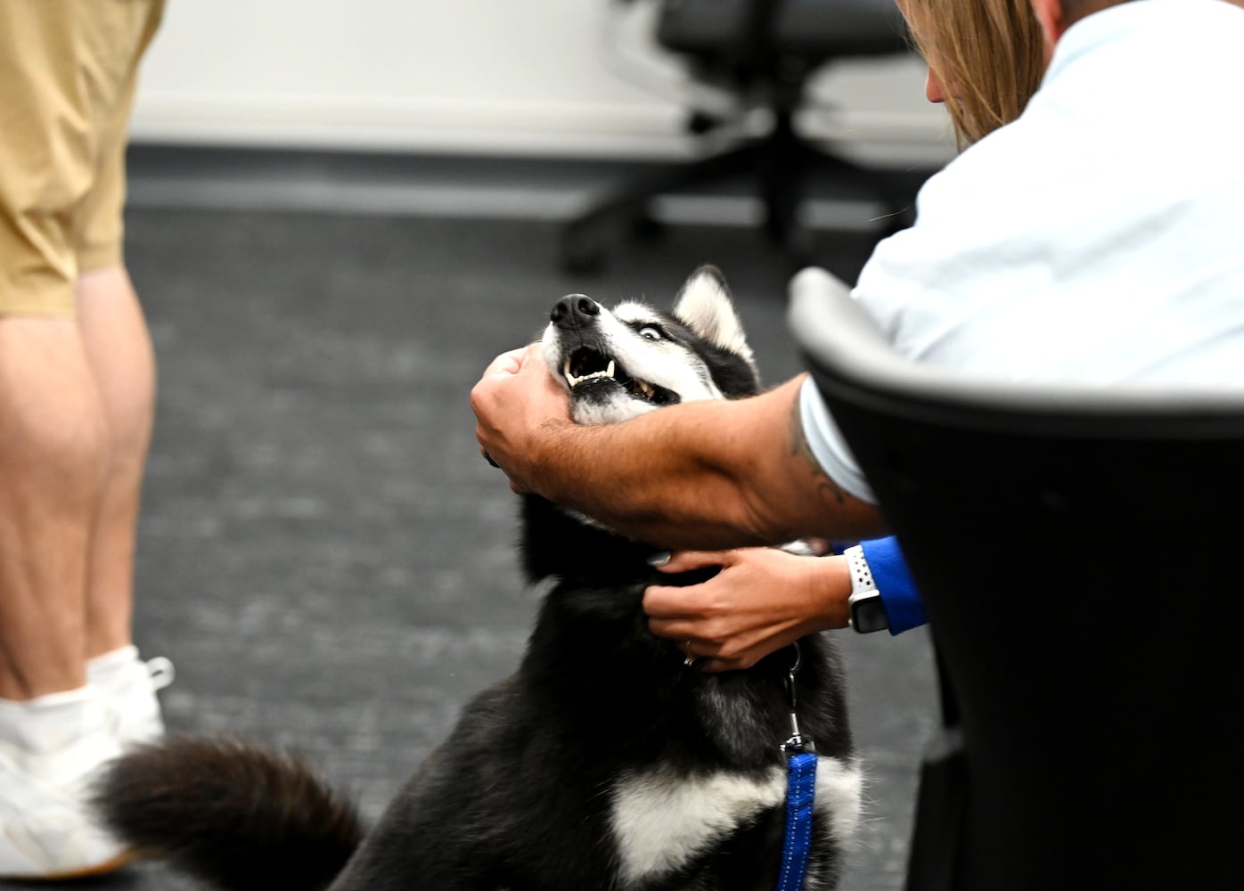 Hamilton City Schools therapy dog