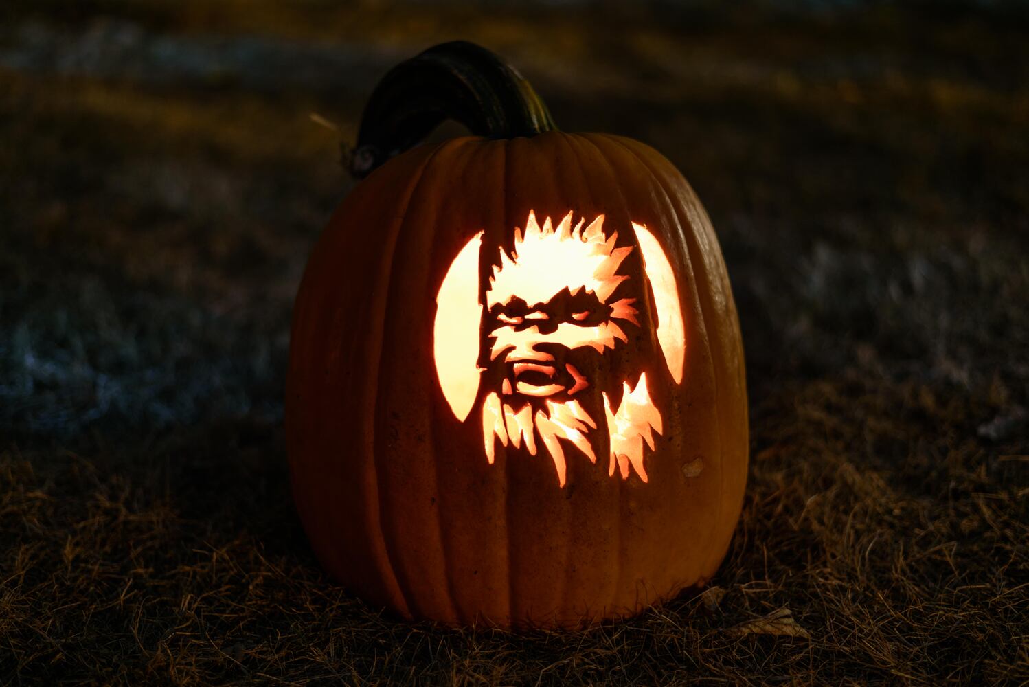 PHOTOS: The Stoddard Avenue Pumpkin Glow