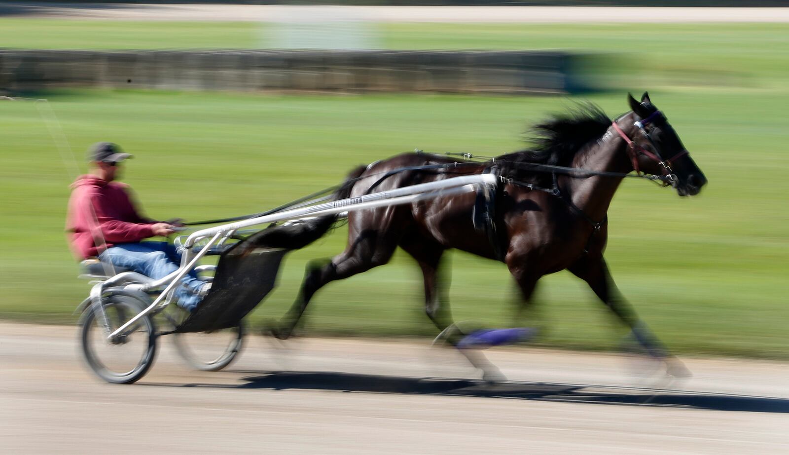 Dan Noble is an acclaimed harness driver and the fourth generation of a famed harness racing family. He works out a 2-year-old standardbred pacer name "Dragon Damsel" Thursday at the Greene County Fairgrounds in Xenia.   LISA POWELL / STAFF