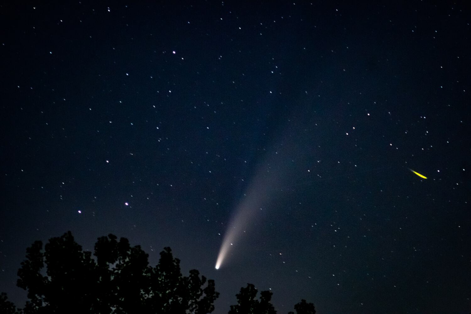 NEOWISE comet visible in the night sky