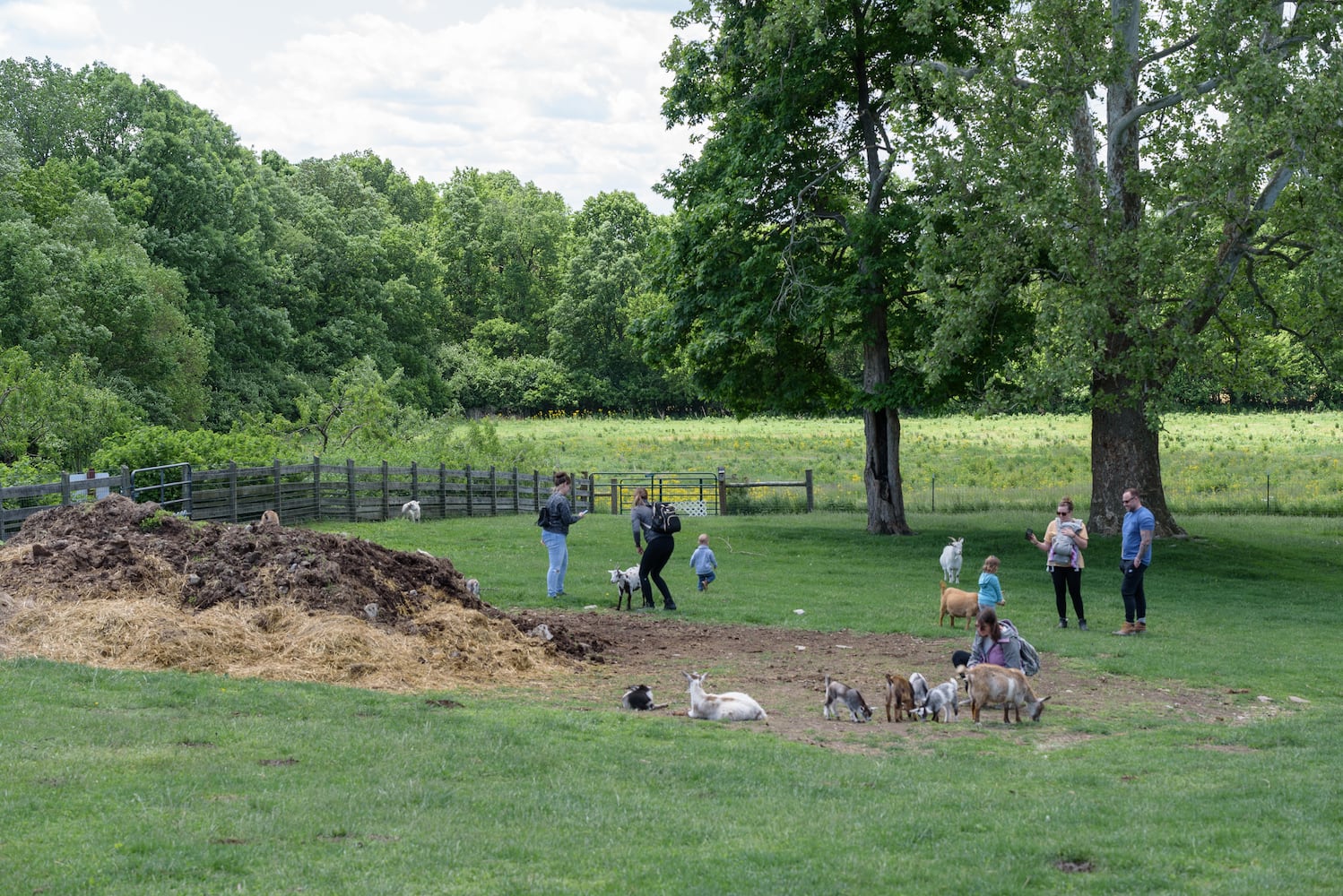 PHOTOS: Wooly Wonders - Spring on the Farm Family Event at Learning Tree Farm