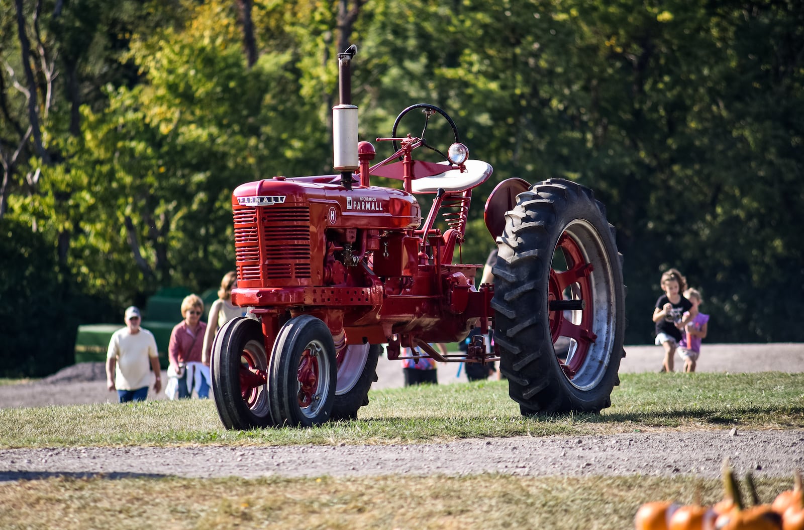 Fall on the Farm at Jackson Family Farm is open on weekends through October 25 on West Alexandria Road in Madison Township. The educational farm experience features pedal tractors, pumpkin patch, farm animals, corn maze, hay tower, hayride to the cattle field, pumpkin jump pad and more. NICK GRAHAM / STAFF