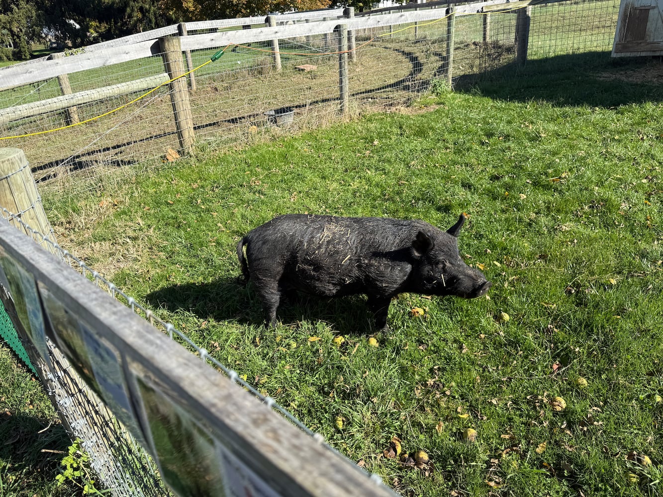 Aullwood Audubon Construction