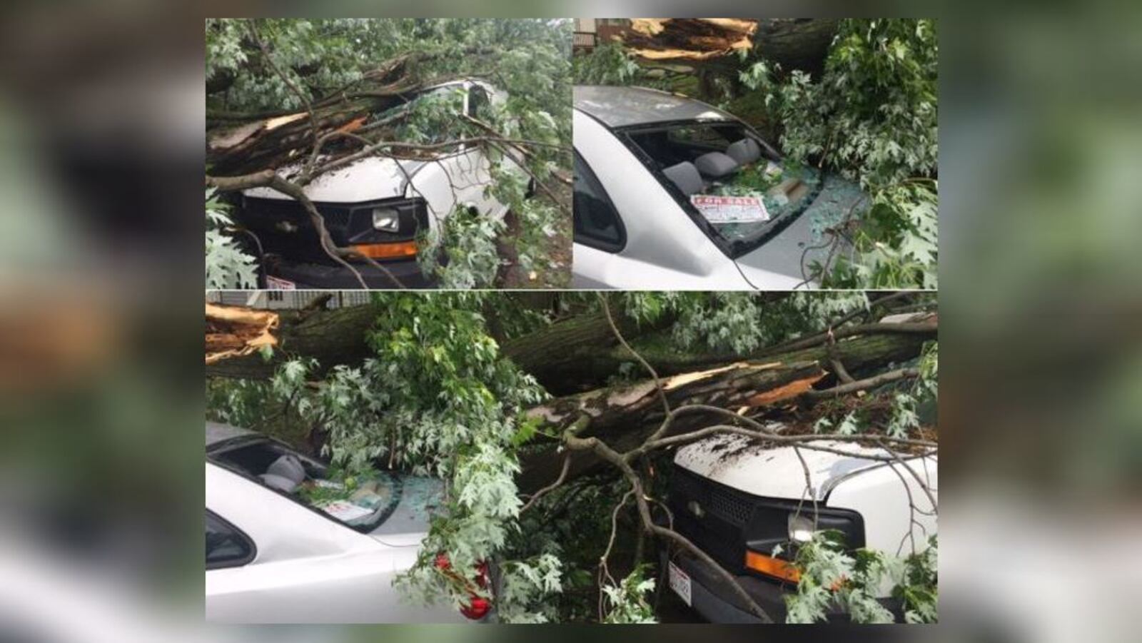 In Moraine, Joshua Harvey said he returned home from work May 30, 2018, to find "half the tree had fallen" onto two of his vehicles parked in the 2800 block of Gladstone Street.