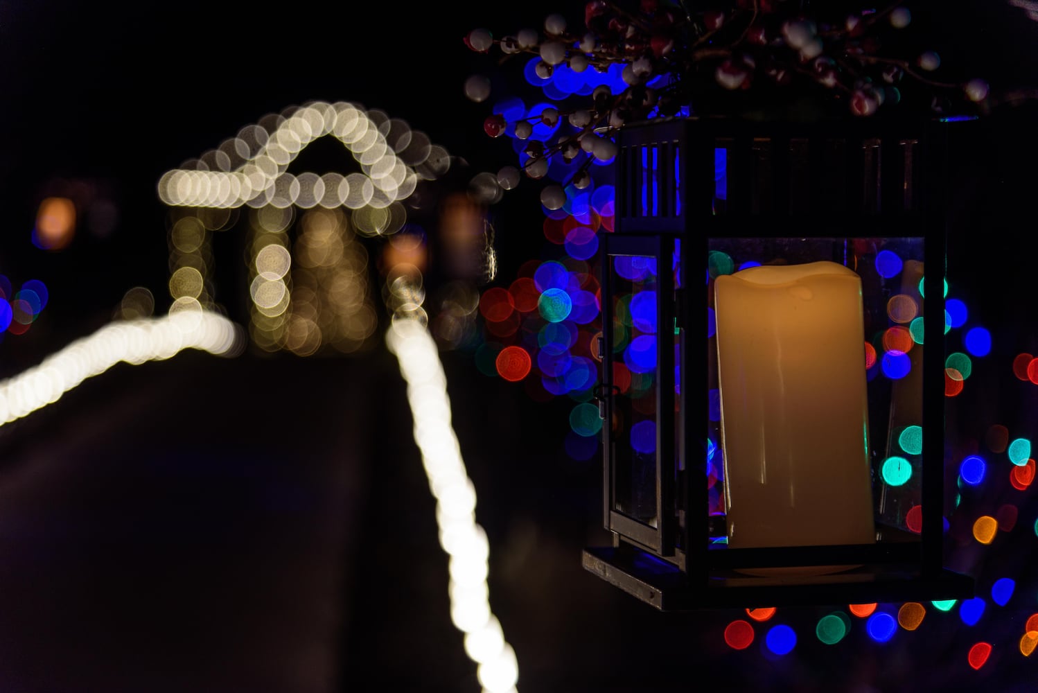 PHOTOS: Christmas Light Spectacular at Cedar Springs Pavilion