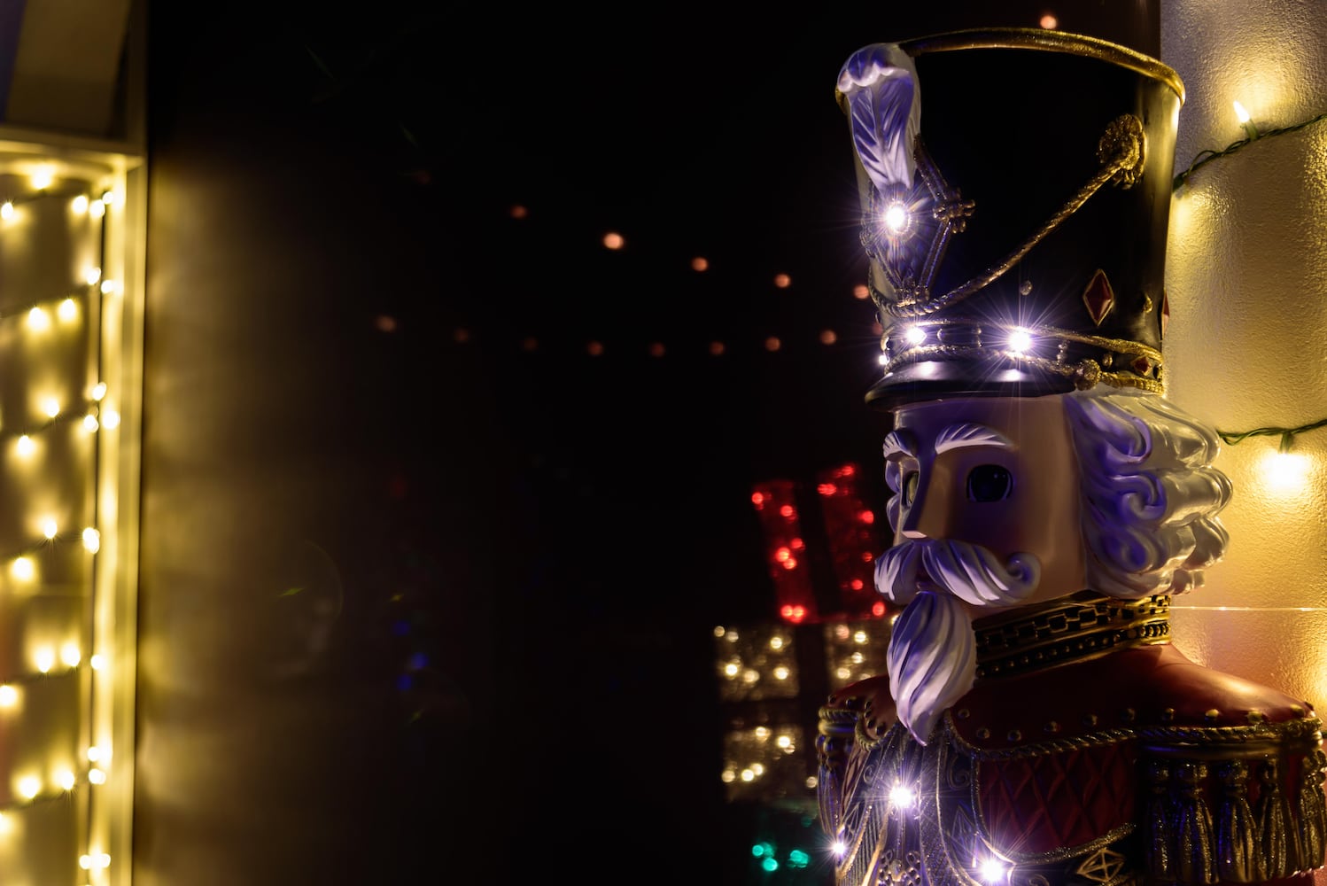 PHOTOS: Christmas Light Spectacular at Cedar Springs Pavilion