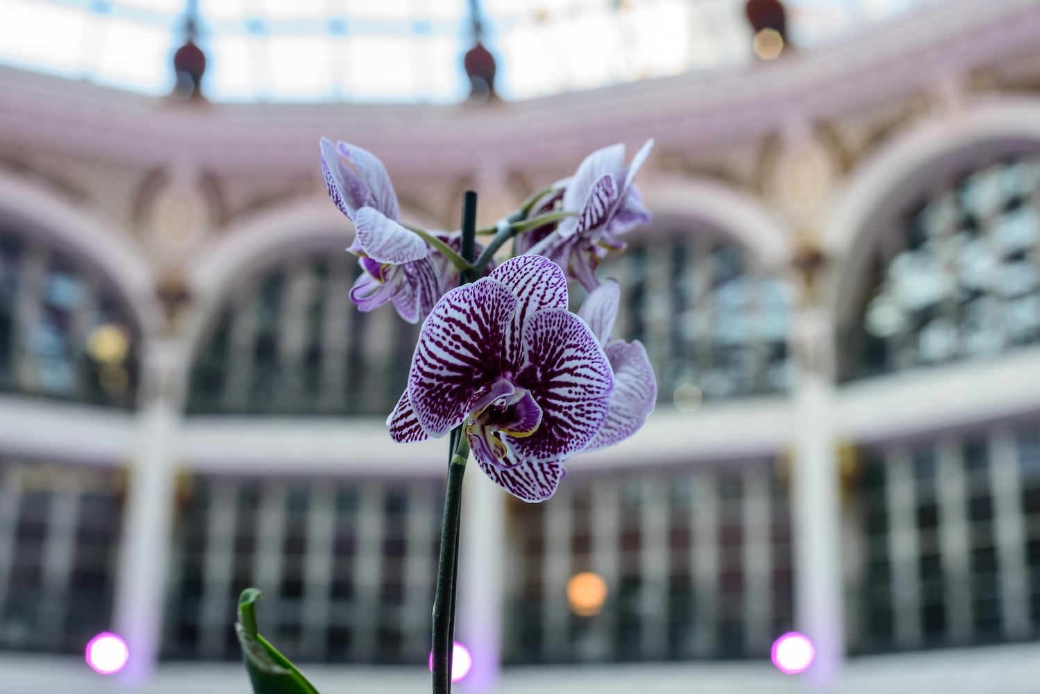 PHOTOS: Sweet Indulgence at the Dayton Arcade