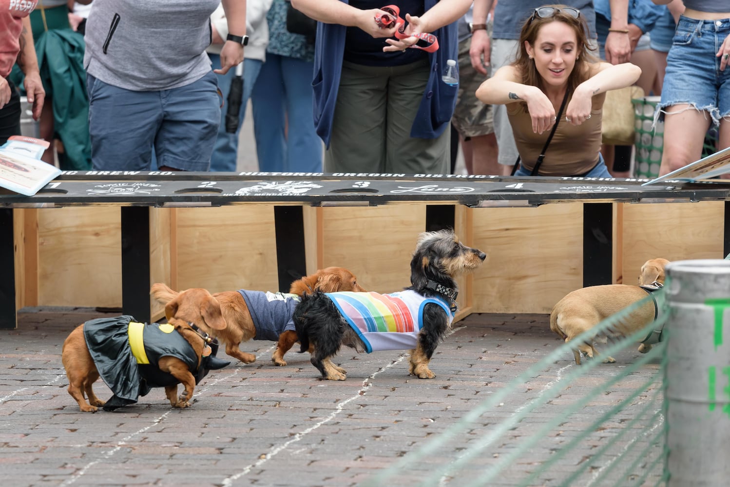 PHOTOS: 6th annual Derby Day Wiener Dog Races in The Oregon District