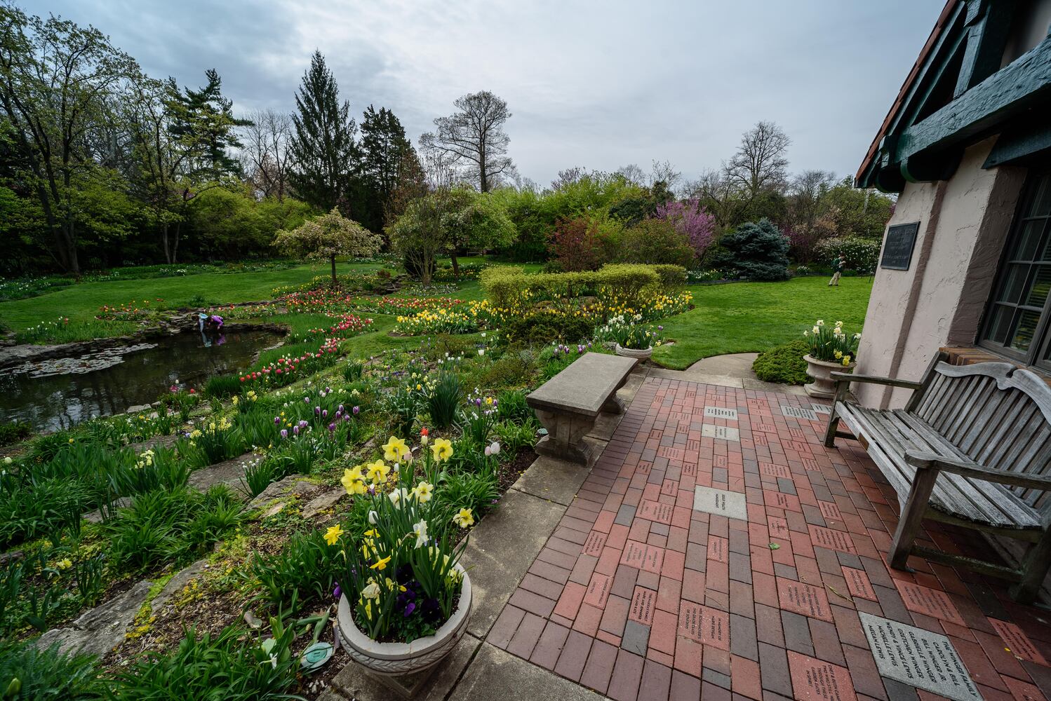 PHOTOS: Multi-colored tulips are in full bloom at Smith Memorial Gardens