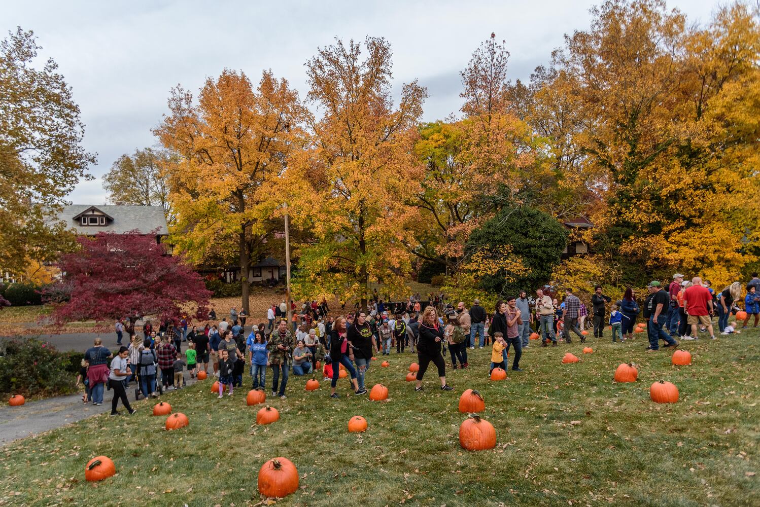 PHOTOS: The Stoddard Avenue Pumpkin Glow