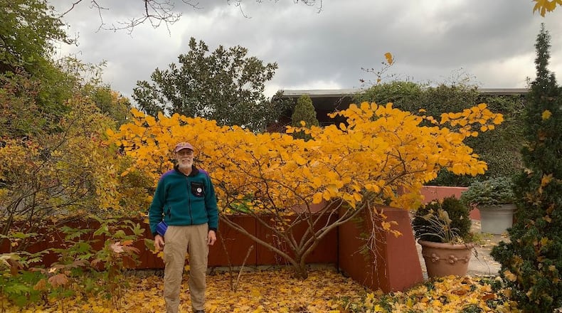 Ron Schilb, curator of the witch hazel collection at Wegerzyn Gardens MetroPark. CONTRIBUTED
