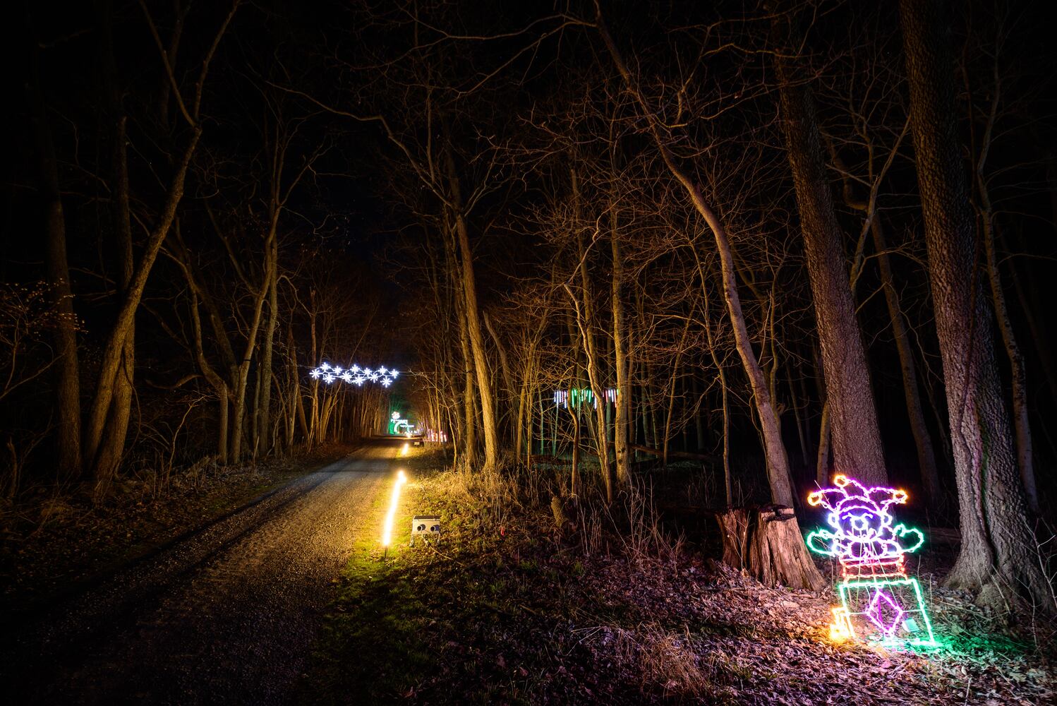 PHOTOS: Holiday Lights dazzle at Lost Creek Reserve in Troy