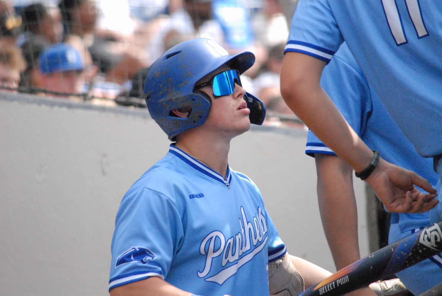 Springboro baseball