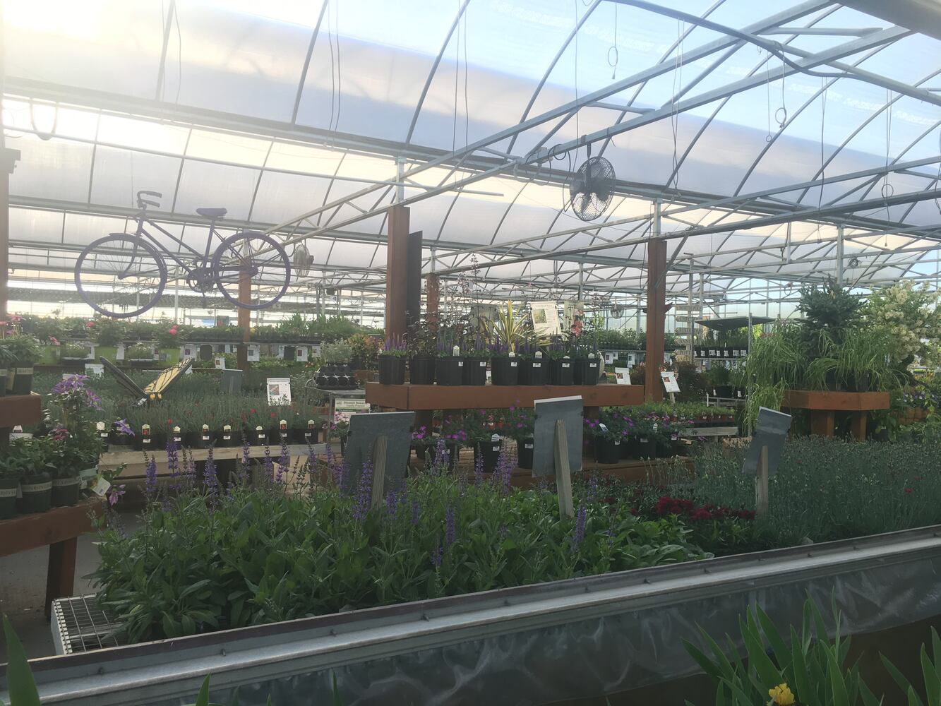 Meadow View Growers