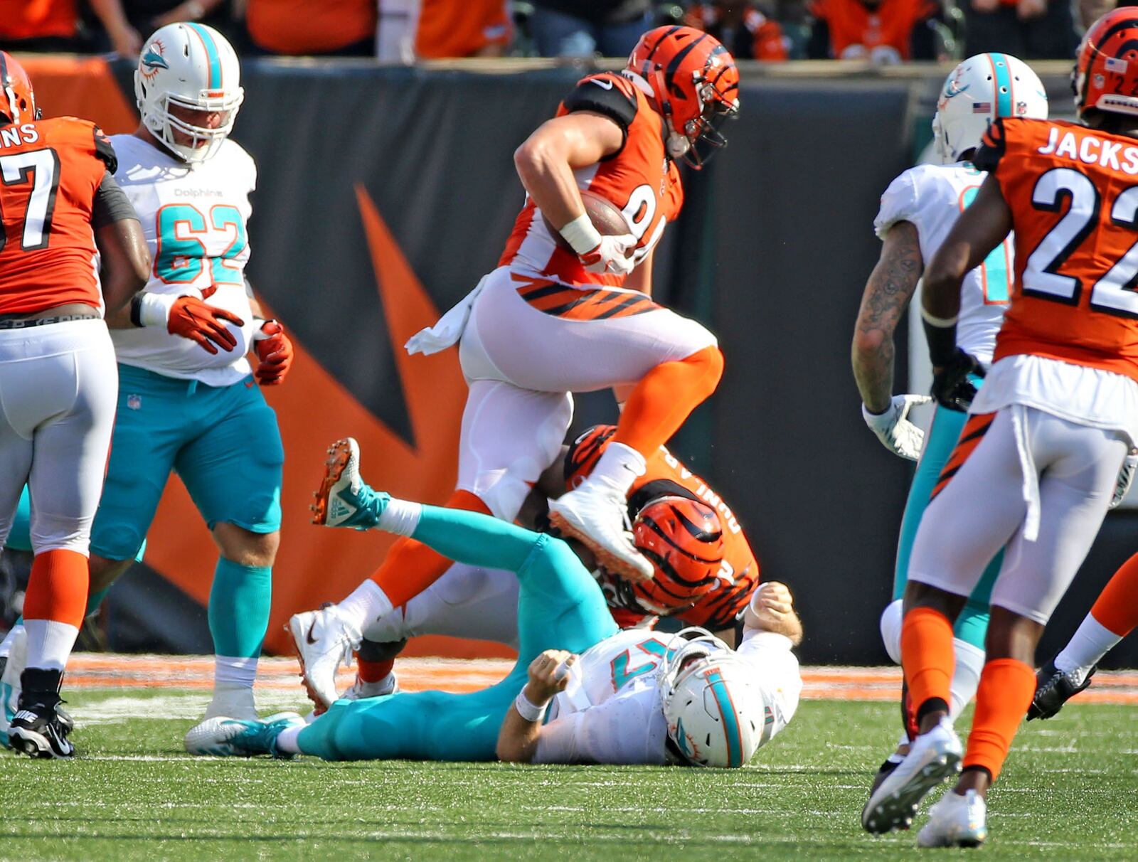 Miami Dolphins quarterback Ryan Tannehill lays on the field as Cincinnati Bengals’ Sam Hubbard ran for a touchdown after recovering a fumble during the fourth quarter at Paul Brown Stadium in Cincinnati, Ohio, Oct. 7, 2018. The Dolphins fell to the Bengals 27-17. (Charles Trainor Jr./Miami Herald/TNS)