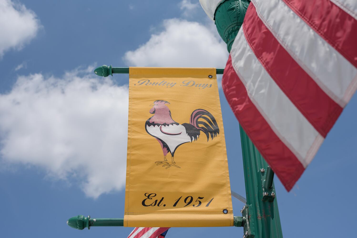 PHOTOS: Did we spot you at the Versailles Poultry Days Festival?