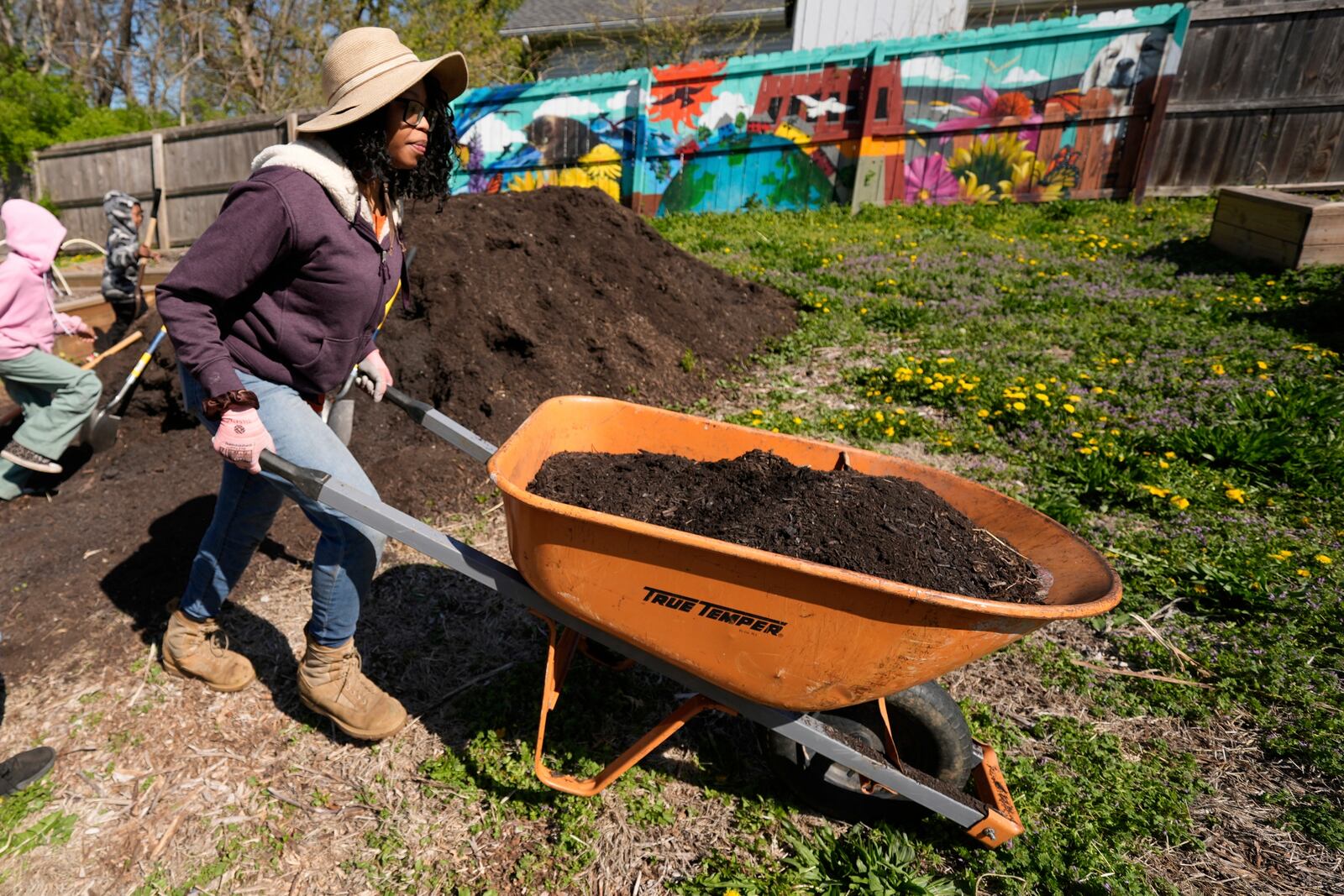 FILE - Rosei Warren hauls compost to a garden plot in preparation for planting vegetables at the Ivanhoe neighborhood community garden, April 9, 2025, in Kansas City, Mo. (AP Photo/Charlie Riedel, File)