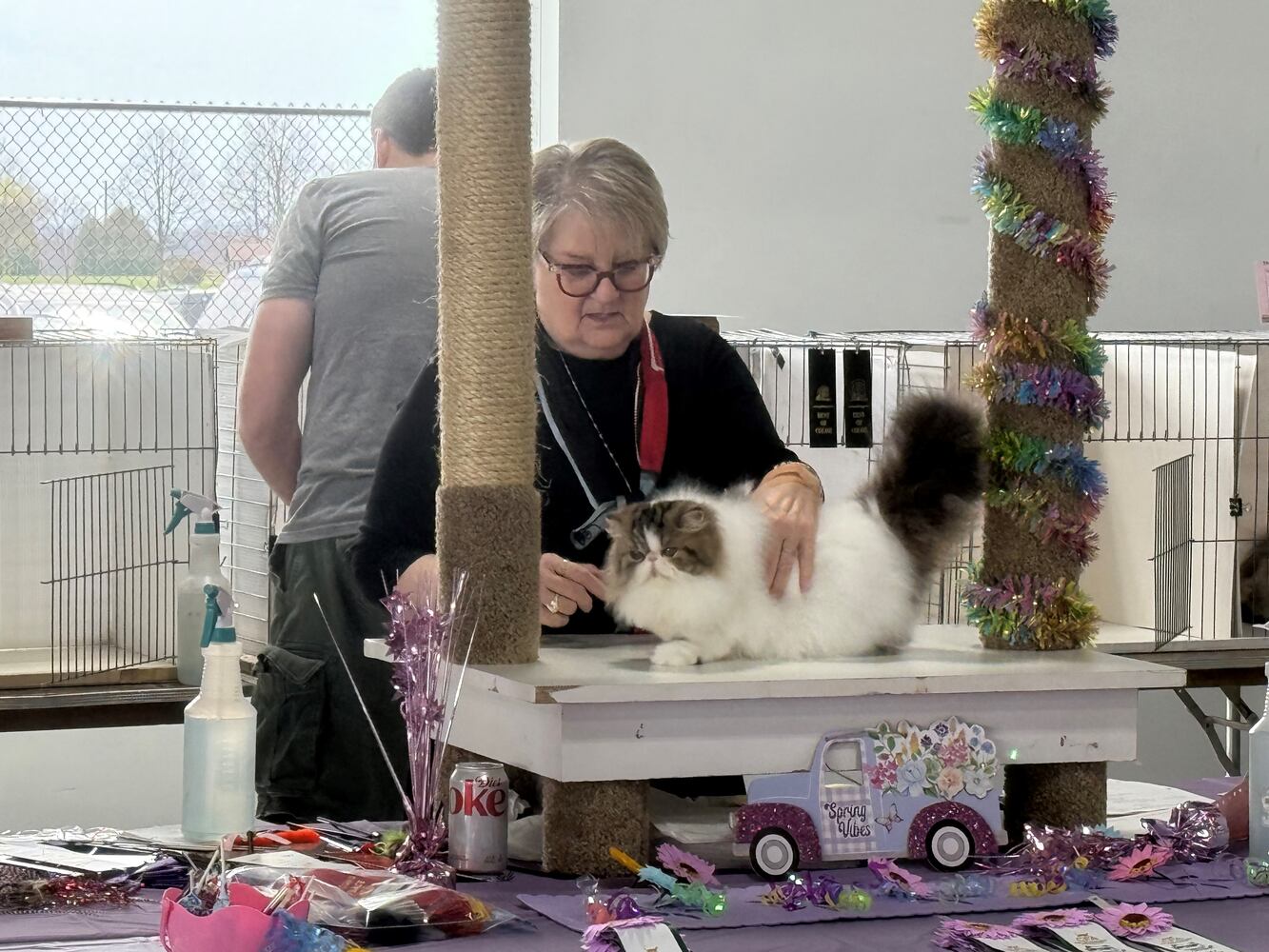 Cat Fanciers' Association cat show