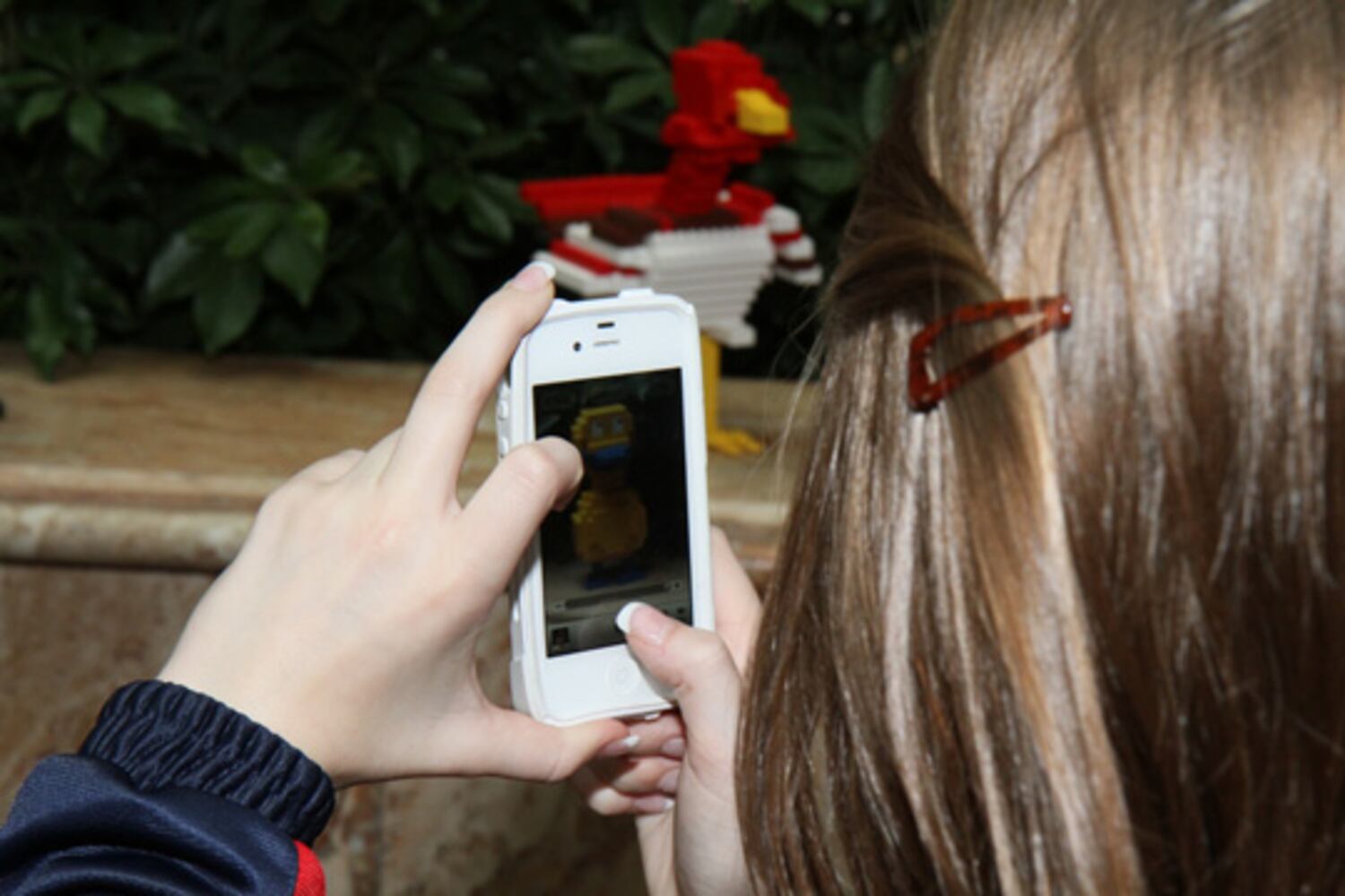 LEGO Master Builder Competition at Phipps