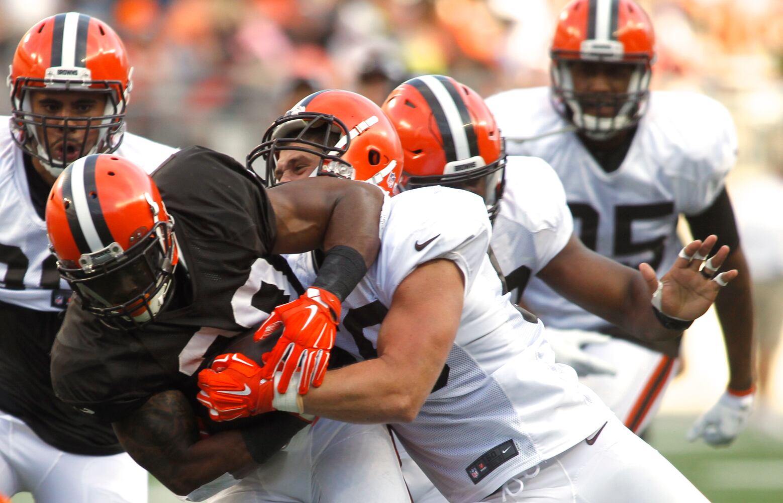 Browns scrimmage at OSU