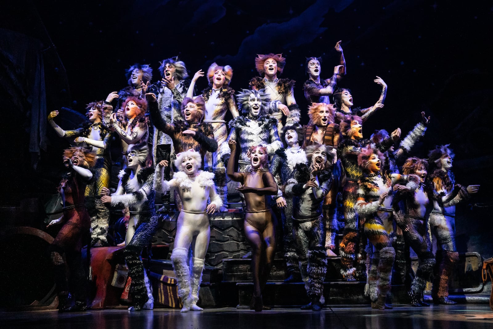 Andrew Lloyd Webber's iconic Broadway show "CATS'' is a good place to seek inspiration for your Bengals party attire. CONTRIBUTED