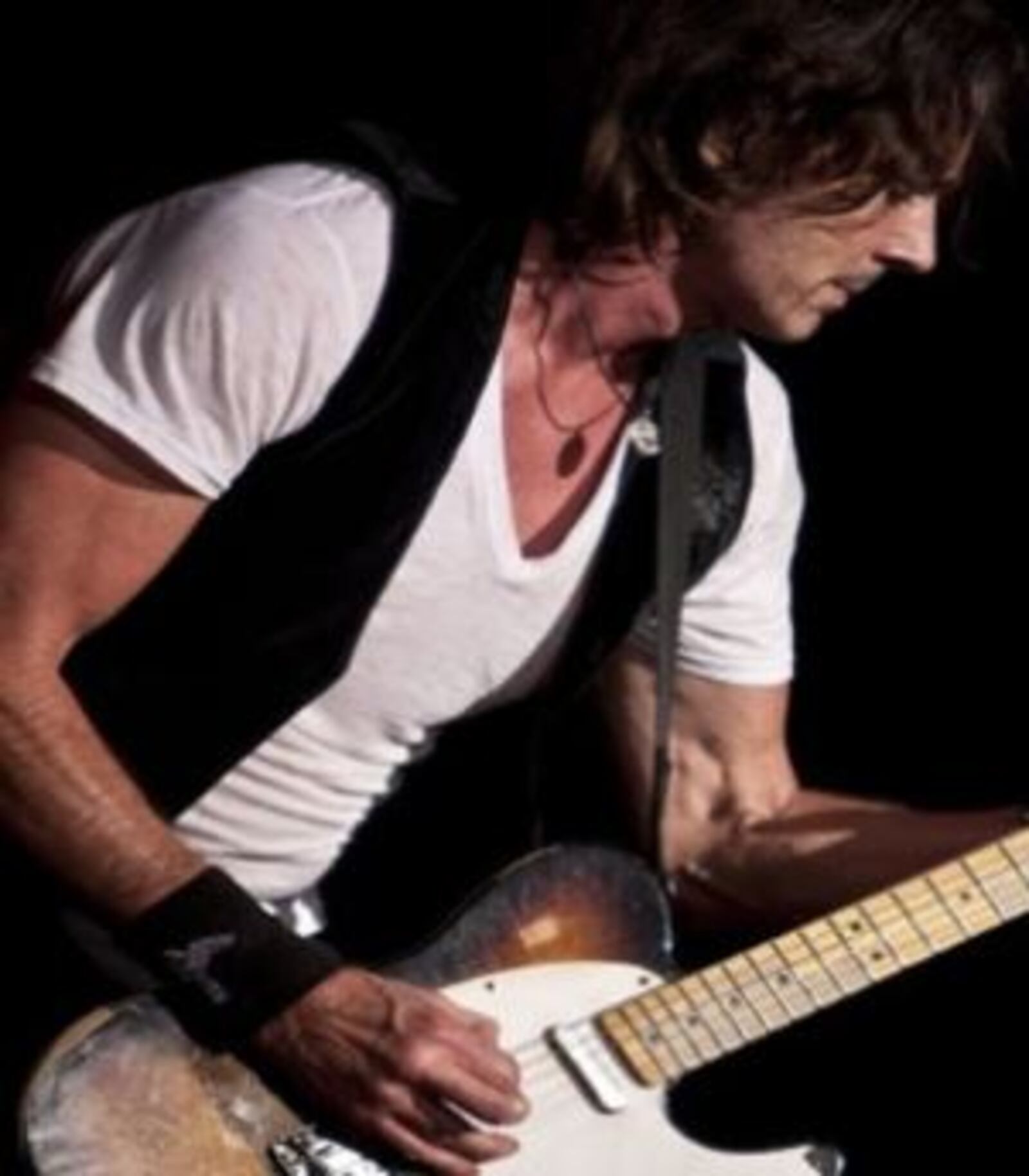 Rick Springfield presents Best in Show with Greg Kihn and Tommy Tutone at Hard Rock Live November 8